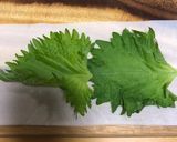 メイン！チーズ明太春巻き作り方4写真