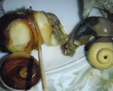焦げた醤油と磯の香り♪さざえの壷焼き♪作り方7写真
