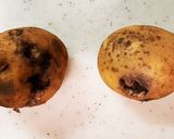 キズ芋で簡単!揚げじゃが煮作り方1写真