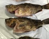 骨までバリバリ食べるメバル唐揚げ作り方2写真