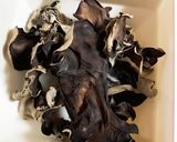 目指せ鼎泰豊の味！髪にいいキクラゲ酢の物作り方1写真