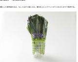 堀口家の野菜の保存の仕方作り方2写真
