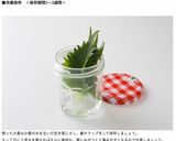 堀口家の野菜の保存の仕方作り方11写真