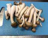 豚肉と厚揚げのオイスター炒め作り方2写真
