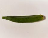 作り置き♪オクラの胡麻和え♪作り方3写真