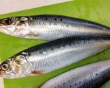 入梅いわしのトマトソース♪作り方1写真