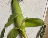 電子レンジで茹でトウモロコシ♪作り方1写真