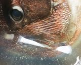 鯛あら 煮付け作り方4写真