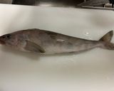 「基本」ホッケの背開き作り方1写真