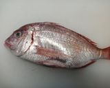 鯛の昆布たたき作り方1写真