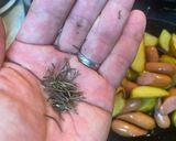 俺流!新ジャガとソーセージの香味炒め作り方6写真