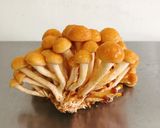 パパっとおつまみ株取なめこイカのホイル焼作り方1写真