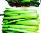 シャキシャキ小松菜の煮浸し！作り方1写真