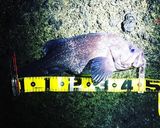 ソイノカマヤキ作り方1写真