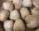 日本酒に♩ホンビノスとアスパラの酒蒸し作り方5写真