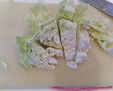 自炊飯　キャベツ等と挽き肉のレンチン&煮作り方1写真