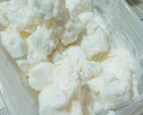 洗い物なし簡単ヨーグルトアイス作り方1写真