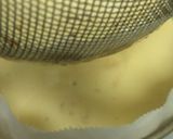 最高に美味しいクラッシックファーブルトン作り方9写真