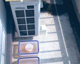 てぃんさんちの梅干し(9%蜂蜜)作り方9写真