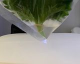 裏ワザ！すぐに見つけられる大葉の保存方法作り方3写真
