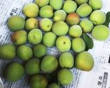 冷凍完熟海でブランデー梅酒作り方1写真