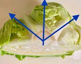 付け合わせに♪レンチン・蒸しキャベツ作り方1写真