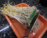 3日間で育つ「楽しい自家製もやしレシピ」作り方22写真