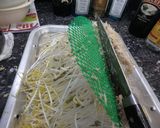 3日間で育つ「楽しい自家製もやしレシピ」作り方23写真