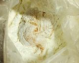うまい！鷄ささみの韓国風チキン作り方9写真