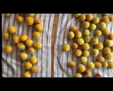 今年こそ【梅干し作り】!!〜梅漬け編〜作り方1写真