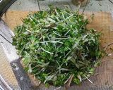 五味薬味(魔法のスーパー薬味)作り方9写真