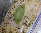 鮪ローストのオイル漬とミモレットチーズ作り方6写真