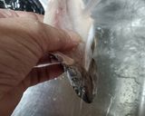 川魚の塩焼き作り方2写真
