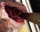 真鯛のお造り作り方4写真