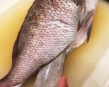 真鯛のお造り作り方9写真