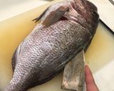真鯛のお造り作り方13写真