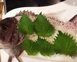 真鯛のお造り作り方19写真
