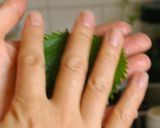お肉と豆腐のふんわり♪ハンバーグ作り方20写真