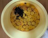 お婆ちゃんの梅干し作り方14写真