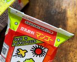 豆乳飲料アイス　作り方6写真