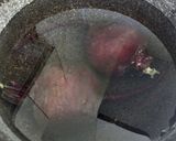 ウクライナ人をうならせた本場の味ボルシチ作り方8写真