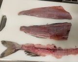 「基本」ホッケの三枚おろし～絶品刺身まで作り方15写真