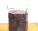 ブルーベリー酵母作り方7写真