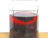 ブルーベリー酵母作り方6写真