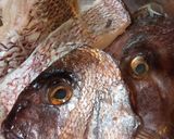 簡単！鯛のあら炊き＊切り身も一緒に♪作り方1写真
