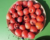 減塩ふわふわ梅干し(青梅、完熟梅用)作り方5写真