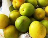 梅シロップ作り方2写真