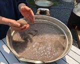 芋から作る！手作り蒟蒻！in北広島町作り方8写真