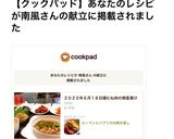 ピーマンとパプリカの焼き浸し作り方15写真