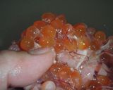 説明丁寧♪生から作る♪いくらの醤油漬け♪作り方3写真
